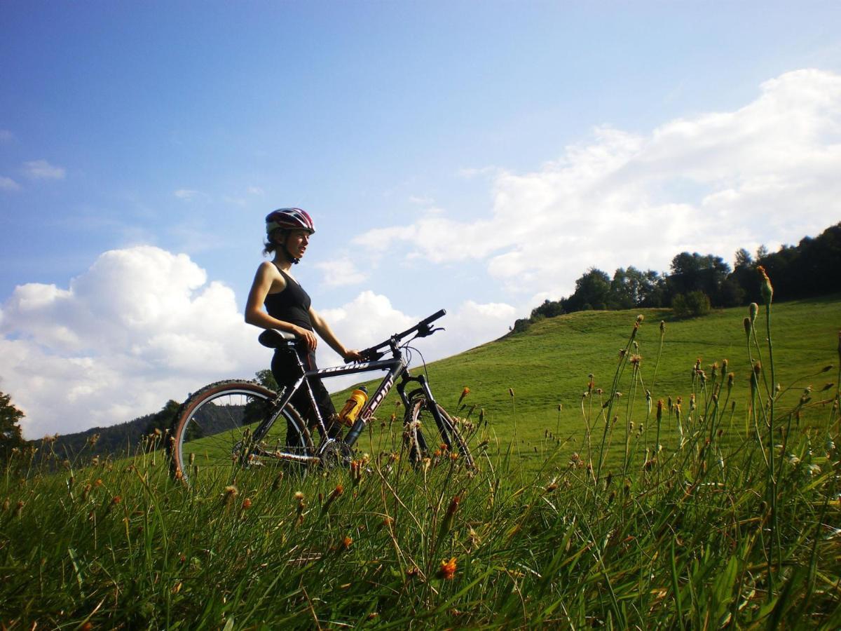Wanderhotel Sonnebergbaude Waltersdorf  Esterno foto